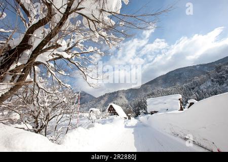 Shiragawago villaggio coperto di neve Foto Stock