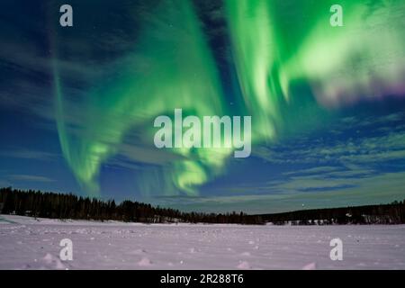 Aurora Borealis (luce polare) a Rovaniemi in Finlandia Foto Stock