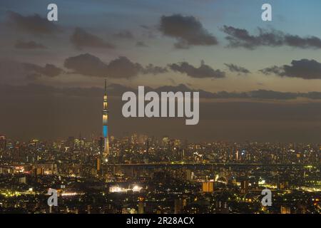 L'elegante Sky Tree di Tokyo si illumina e gli edifici di Shinjuku Foto Stock