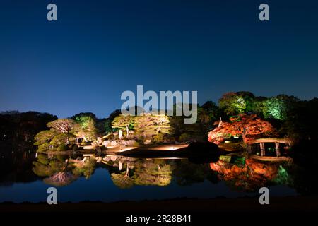 Rikugien fogliame si illumina Foto Stock