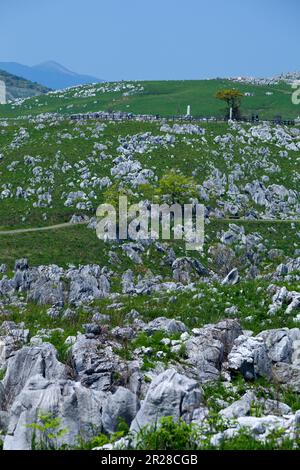 Altopiano di Akiyoshi in primavera Foto Stock