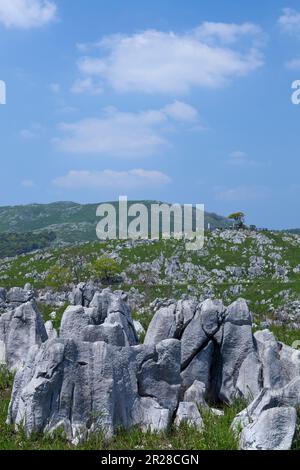 Altopiano di Akiyoshi in primavera Foto Stock