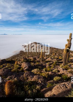 Scopri la bellezza surreale di Isla Incahuasi sull'ipnotico Salar de Uyuni in Bolivia. Immergetevi in un'oasi unica tra le saline Foto Stock