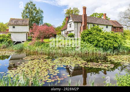 Il tardo 15th ° secolo gatehouse e il fossato fine 14th o inizio 15th ° secolo in legno incorniciato bassa Brockhampton Manor House vicino a Bromyard, Herefordshi Foto Stock