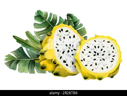 Mezzo frutto giallo drago e fettine con foglie di palma tropicale illustrazione acquerello. Pitaya cactus disegno botanico Foto Stock