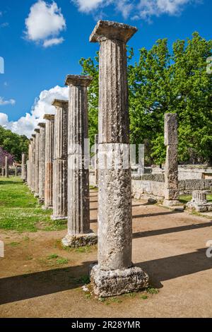 Colonne della scuola di wrestling Palaestra, periodo ellenistico, santuario dell'antica Olimpia, penisola del Peloponneso, regione della Grecia occidentale, Grecia Foto Stock