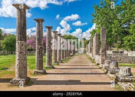 Colonne della scuola di wrestling Palaestra, periodo ellenistico, santuario dell'antica Olimpia, penisola del Peloponneso, regione della Grecia occidentale, Grecia Foto Stock