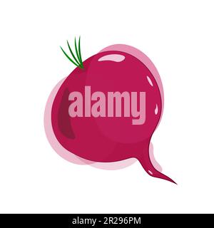 Barbabietole viola intere in stile acquerello con luci e ombre. Vettore. Isolato Illustrazione Vettoriale