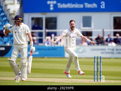 Ollie Robinson di Sussex festeggia la conquista del picchetto di Marnus Labuschagne di Glamorgan (a sinistra) il primo giorno della partita LV= Insurance County Championship al Central County Ground 1st, Hove. Data immagine: Giovedì 18 maggio 2023. Foto Stock