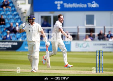 Ollie Robinson di Sussex festeggia la conquista del picchetto di Marnus Labuschagne di Glamorgan (a sinistra) il primo giorno della partita LV= Insurance County Championship al Central County Ground 1st, Hove. Data immagine: Giovedì 18 maggio 2023. Foto Stock