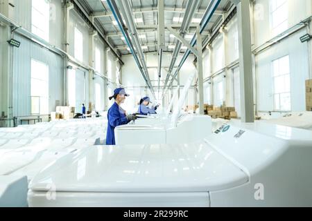 ZHANGYE, CINA - 18 MAGGIO 2023 - gli ispettori della qualità verificano la qualità del prodotto presso la linea di produzione di Zhangye Lanbiao Biotechnology Co., LTD a Zhang Foto Stock