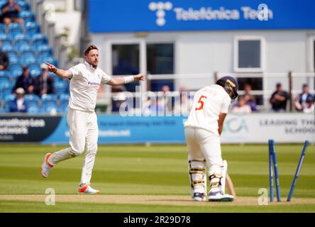 Il Sussex's Ollie Robinson celebra il bowling di Glamorgan Carlson (a destra) il giorno uno della partita LV= Insurance County Championship al Central County Ground 1st, Hove. Data immagine: Giovedì 18 maggio 2023. Foto Stock