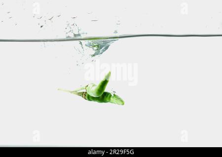 peperoncino verde, spruzzi d'acqua, soleggiato su fondo bianco Foto Stock