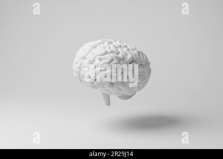 Cervello bianco fluttuante in aria media con ombra su sfondo bianco. Illustrazione del concetto di anatomia medica, creatività e idee Foto Stock