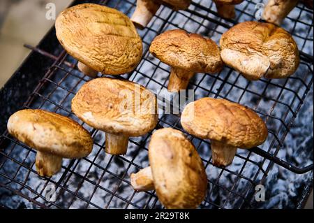 Ancora vita con funghi porcini marroni champignon cucinati alla griglia all'aperto. Picnic. Barbecue. BARBECUE Foto Stock