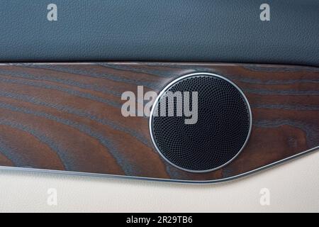 Primo piano della portiera dell'automobile, dall'interno Foto Stock