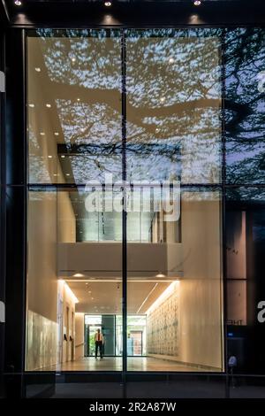 Londra, Inghilterra-agosto 2022; vista verticale dall'interno attraverso una grande finestra dal corridoio del giardino alle 120:00 nel corridoio a due piani dell'ufficio adiacente Foto Stock