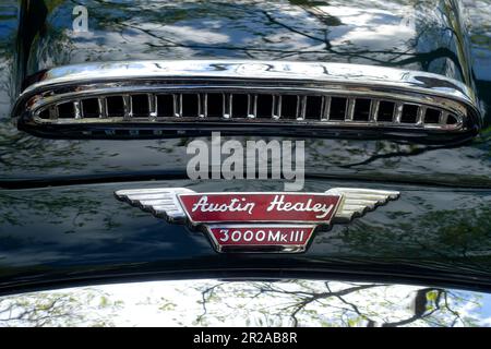 Oldtimer Austin-Healey, Classic Days a Berlino, 2023 maggio, Germania Foto Stock