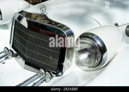 Jaguar, Classic Days 2023, Berlino, Germania Foto Stock