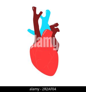 cuore umano per l'anatomia o il concetto di cardiologia Illustrazione Vettoriale