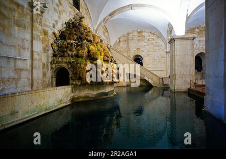 Māe d'Agua serbatoio in Amoreiras che mostra il punto di ingresso dell'acqua dall'acquedotto Foto Stock