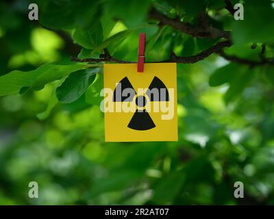 Una nota di carta gialla con il simbolo di avvertenza radiazioni apposta su un ramo d'albero con una spilla per vestiti. Primo piano. Foto Stock