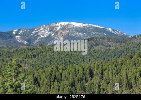 montagna rossa nella foresta nazionale di helena vicino a rimini, montana Foto Stock