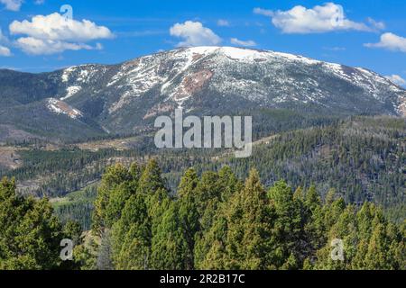 montagna rossa nella foresta nazionale di helena vicino a rimini, montana Foto Stock