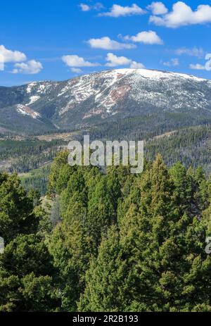 montagna rossa nella foresta nazionale di helena vicino a rimini, montana Foto Stock