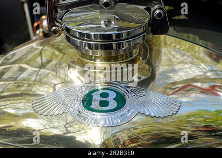 Jaguar, Classic Days 2023, Berlino, Germania Foto Stock