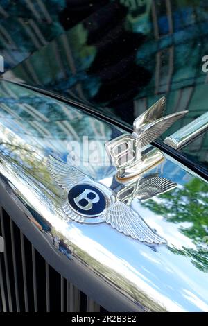 Jaguar, Classic Days 2023, Berlino, Germania Foto Stock