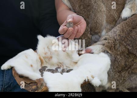 18 maggio 2023: Lugo, Galizia, Spagna. Presentazione della moneta commemorativa ufficiale di Arde Lucus, una celebrazione che ricorda l'origine romana e Castro della città galiziana di Lugo. (Credit Image: © Cristian Leyva/ZUMA Press Wire) SOLO PER USO EDITORIALE! Non per USO commerciale! Foto Stock