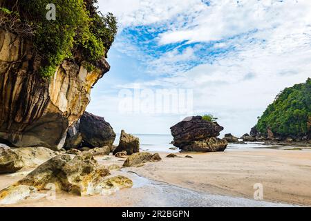 Parco nazionale di Bako, spiaggia di sabbia marina, a Kuching, Sarawak, Malesia. Il parco nazionale di Bako è una famosa destinazione turistica del Borneo, nella Malesia orientale Foto Stock