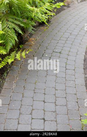 Un percorso curvo in pietra attraverso un giardino. Foto Stock