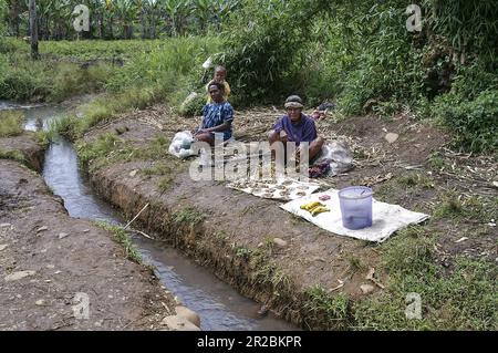 Papua Nuova Guinea; Eastern Highlands; Goroka; Papuans vendono frutta in una stalla stradale; Papua verkaufen Obst an einem Straßenstand; przydrożny stragan Foto Stock