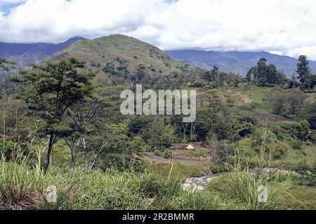 PNG Papua Nuova Guinea Highlands orientali Goroka paesaggio tipico in Papua typische Landschaft in Papua; typoy krajobraz wilgotny las równikowy w Papui Foto Stock