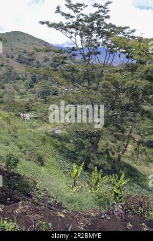 PNG Papua Nuova Guinea Highlands orientali Goroka paesaggio tipico in Papua typische Landschaft in Papua; typoy krajobraz wilgotny las równikowy w Papui Foto Stock