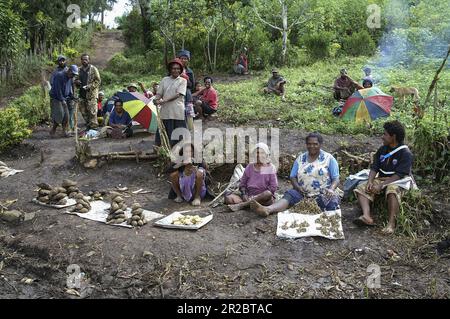 Papua Nuova Guinea; Eastern Highlands; Goroka; Papuans vendono frutta in una stalla stradale; Papua verkaufen Obst an einem Straßenstand; przydrożny stragan Foto Stock