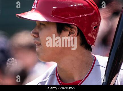 Baltimora, Stati Uniti. 18th maggio, 2023. BALTIMORA, MD - MAGGIO 18: Primo piano degli Angeli di Los Angeles a partire la caraffa Shohei Ohtani (17) al BAT durante una partita di MLB tra gli Orioles di Baltimora e gli Angeli di Los Angeles, il 18 Maggio 2023, all'Orioles Park a Camden Yards, a Baltimora, Maryland. (Foto di Tony Quinn/SipaUSA) Credit: Sipa USA/Alamy Live News Foto Stock