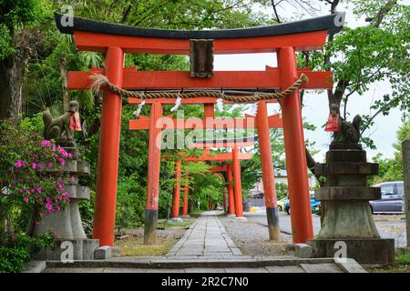 Ingresso al Santuario Takenaka Inari Shinto a Kyoto, Giappone. Foto Stock