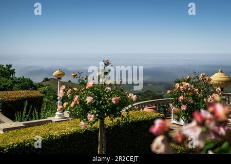 Il castello di Hearst, conosciuto formalmente come la Cuesta Encantada, è una tenuta storica a San Simeon, situata sulla costa centrale della California Foto Stock