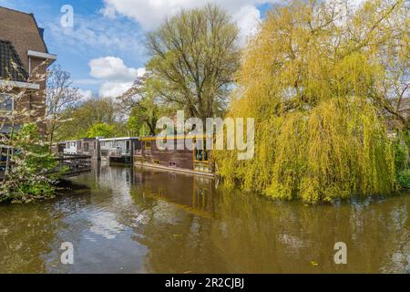 Delft, Paesi Bassi - Aprile 26. 2023: Vista della casa barca su un canale con vegetazione verde, a Delft Foto Stock