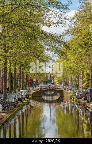 Delft, Paesi Bassi - 26 aprile 2023: Vecchio canale di Delft in primavera con edifici sul mare e alberi verdi Foto Stock