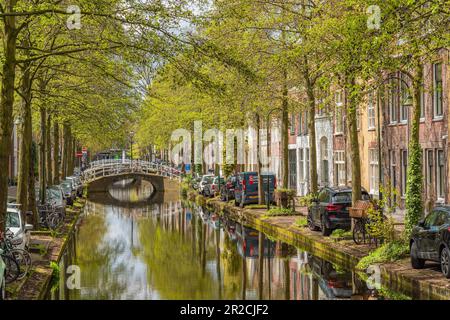 Delft, Paesi Bassi - 26 aprile 2023: Vecchio canale di Delft in primavera con edifici sul mare e alberi verdi Foto Stock