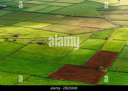 Vista panoramica aerea della tradizionale campagna dell'isola di Terceira Foto Stock