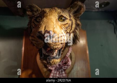 East Dean, 12th 2023 maggio: The Tiger Inn Foto Stock