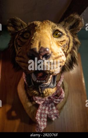 East Dean, 12th 2023 maggio: The Tiger Inn Foto Stock