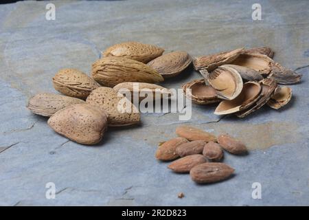 Mandorle fresche, appena raccolte dall'albero. Foto studio con sfondo in pietra. Ambiente rurale. Spazio di copia. Foto Stock