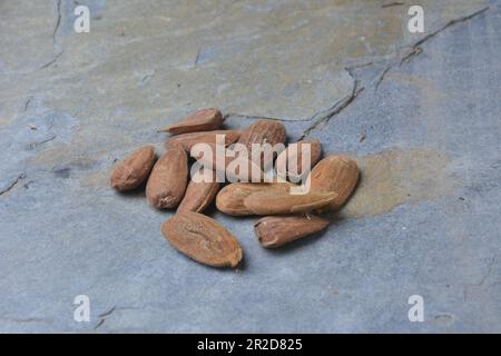 Mandorle fresche, appena raccolte dall'albero. Foto studio con sfondo in pietra. Ambiente rurale. Spazio di copia. Foto Stock