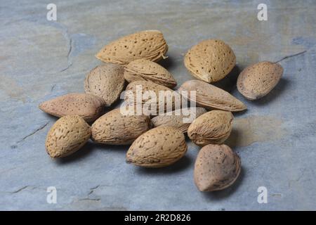 Mandorle fresche, appena raccolte dall'albero. Foto studio con sfondo in pietra. Ambiente rurale. Spazio di copia. Foto Stock